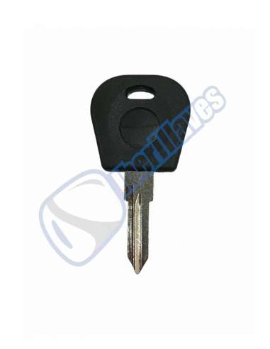 LLAVE PARA CHIP FIAT GT10